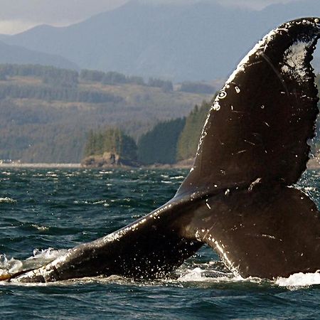 Kodiak Compass Suites Экстерьер фото